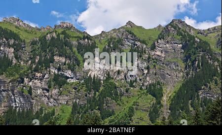 Jagged peaks covered in velvet green grass and evergreen trees, Jungfrau region, Bernese Oberland, Switzerland, Europe, color Stock Photo