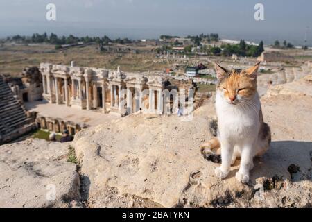 Ruins of amphitheater in ancient Hierapolis, now Pamukkale, Turkey Stock Photo
