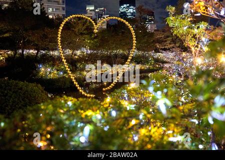 Heart from lights in the park with many lights Stock Photo