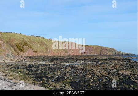 Where continents collide: the Highland Boundary fault at Craigeven Bay, Stonehaven, Scotland Stock Photo