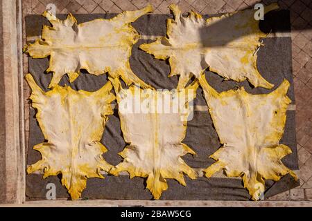Skins drying in the sun at Chouwara (Chouara) Tannery, Fes Medina, Fez, Morocco Stock Photo