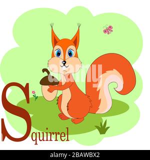 S for squirrel abc animal alphabet  Stock Vector