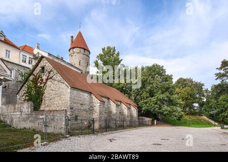 A medieval building sits under the city wall with the Nun's Tower visible above in Tallinn Estonia. Stock Photo