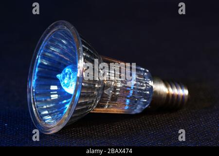 Old lightbulbs in the studio on black background photographed with flash light Stock Photo