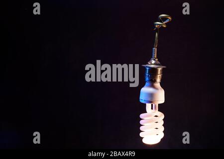 Old lightbulbs in the studio on black background photographed with flash light Stock Photo