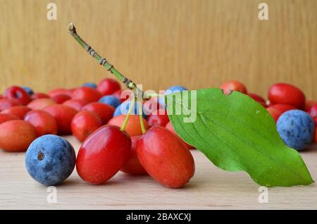 Mixed cornelian cherries and sloes on the table, wooden background, close up view Stock Photo