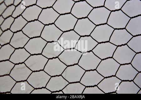 Image of a metal fence in the shape of hexagons (chicken coop fence) with white background Stock Photo