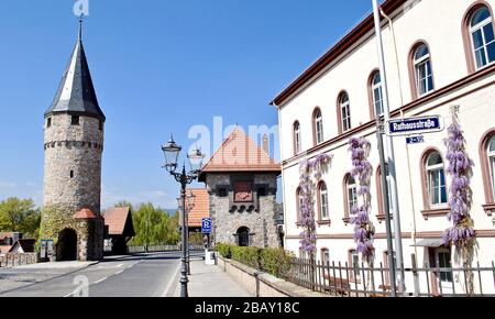 Hexenturm (Witches Tower) and Wachgebäudeon (Watch guard tower) the Ritter von Marx Bridge is one of the symbols of Bad Homburg, Germany. The tower wa Stock Photo