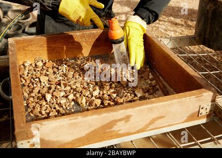 Archeological Dig at Shiloh in Israel Stock Photo