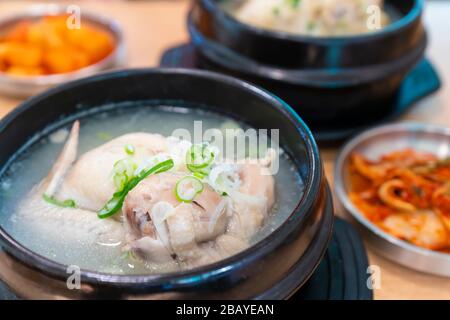 Korean ginseng chicken soup Stock Photo