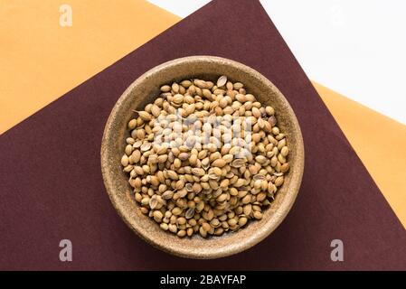 Coriander Seeds in a Bowl Stock Photo