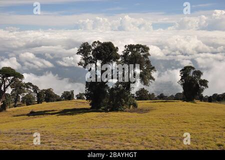 agricultural-slopes-of-the-volcano-irazu