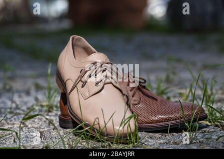 Different kinds of shoes on a natural background Stock Photo