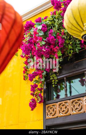Pink flowers decoration hanging on a window. Vietnamese style paper lantern outfocus. Stock Photo