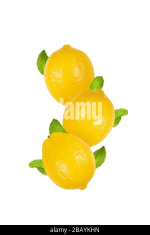 Juicy ripe lemons with mint leaves. Isolated om white background. Whole citrus fruits with fresh peppermint leaves. Vertical format. Stock Photo