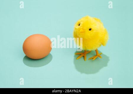 Cute fluffy yellow Easter chick with brown hens egg on a green background with copy space for a holiday greeting Stock Photo