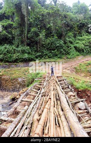 Crossing the wooden bridge in the Mankira wild coffee forest in the Kaffa region of Ethiopia.