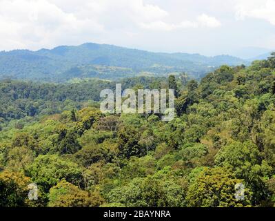 beautiful landscapes around the Teja & Tula coffee plantation in the Kaffa region of Ethiopia.