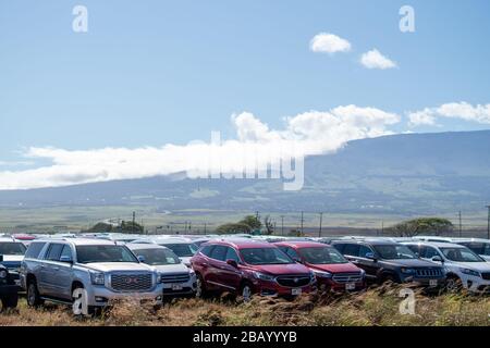 Fields of Unused Rental Cars in Maui, Hawaii during Covid-19 Pandemic. Without any tourists, the extra cars have nowhere to go. Stock Photo