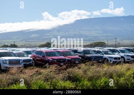 Fields of Unused Rental Cars in Maui, Hawaii during Covid-19 Pandemic. Without any tourists, the extra cars have nowhere to go. Stock Photo