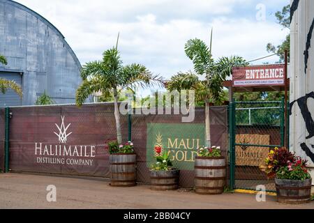 Hali'imaile, Maui, Hawaii, where two local producers, Maui Gold and Pau Vodka, began producing sanitizer for covid-19 Stock Photo