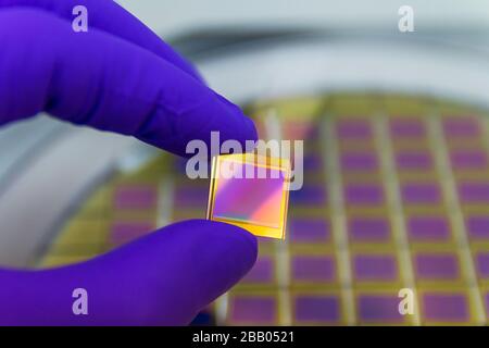 Hand in blue color glove holding microchip photo sensor matrix. On the background is diced silicon wafer with microchips. Focus on chip. Stock Photo
