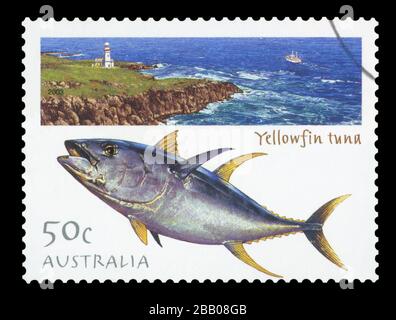 AUSTRALIA - CIRCA 2003: A stamp printed in Australia shows an image of Yellowfin Tuna, circa 2003. Stock Photo