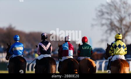 Part of the field prepare to start before the William Hill - Download the app novices' handicap steeple chase  during day one of the 2013 William Hill Yorkshire Winter Festival, at Wetherby Racecourse. Stock Photo