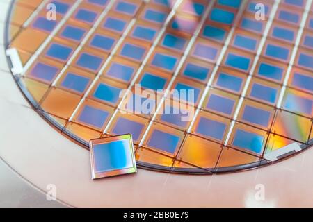 Silicon wafer with microchips fixed in a holder with a steel frame after the dicing process and separate microchips. Stock Photo