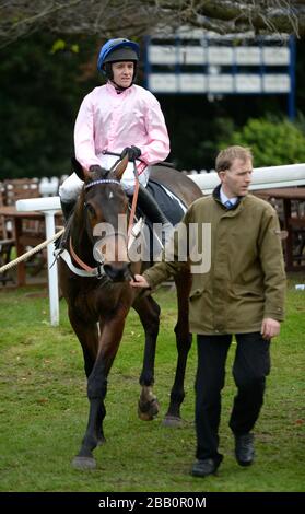 Captain Conan  ridden by Barry Geraghty  after running in the BetVictor Tingle Creek Chase Stock Photo