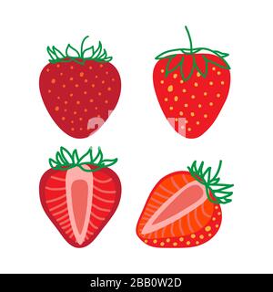 Isolated Strawberrys, design colorful vector illustration. Collection of whole and sliced fresh Strawberry berry isolated on white background Stock Vector