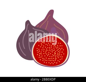 Three isolated figs design colorful vector illustration. Two whole and one half fresh fig fruits isolated on white background Stock Vector