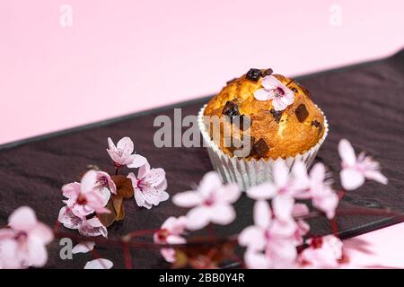 Chocolate muffin and cherry blossoms sakura, homemade bakery on dark and pink background. Food spring concept. Stock Photo