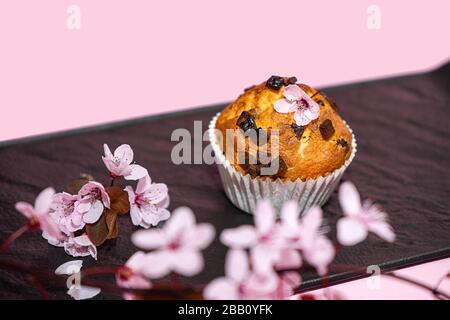 Chocolate muffin and cherry blossoms sakura, homemade bakery on dark and pink background. Food spring concept. Stock Photo