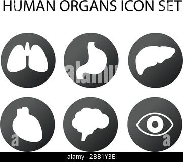 human organs icon set in circle. Lungs, stomach, liver, heart, brain and eye icons. Stock Vector illustration isolated Stock Vector