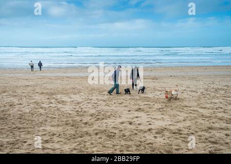 People walking their dogs on a cold chilly Fistral Beach in Newquay in Cornwall. Stock Photo