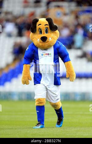 Birmingham City Mascot Beau Brummie Stock Photo Alamy birmingham-city-mascot-beau-brummie-stock-photo-alamy