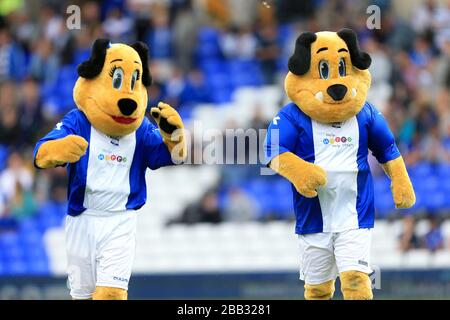 Birmingham City Mascots Belle And Beau Brummie With The Match Day birmingham-city-mascots-belle-and-beau-brummie-with-the-match-day