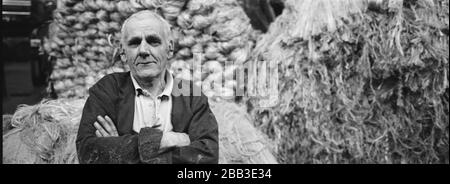 A worker leaning against bales of jute at Tay Spinners mill in Dundee, Scotland. This factory was the last jute spinning mill in Europe when it closed for the final time in 1998. The city of Dundee had been famous throughout history for the three 'Js' - jute, jam and journalism. Stock Photo