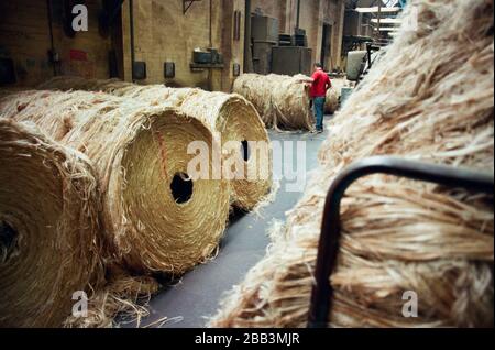 A worker rolling a circular bale of jute at Tay Spinners mill in Dundee, Scotland. This factory was the last jute spinning mill in Europe when it closed for the final time in 1998. The city of Dundee had been famous throughout history for the three 'Js' - jute, jam and journalism. Stock Photo