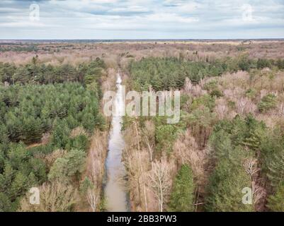 Aerial drone shot, of a forest with river or canal running through in early spring. Location: antitankgracht Kapellen. Creative edit. Stock Photo