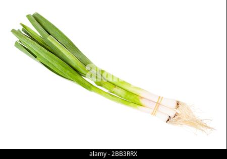 bunch of green young spring garlic isolated on white background Stock Photo