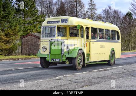Leyland Tiger PS1 LFM320 single decker in the livery of Crosvile bus company approaching Kirkby Stephen 2015 Stock Photo