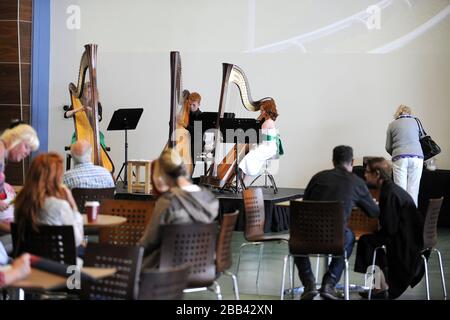 Harpony play for spectators at Epsom Downs Racecourse Stock Photo