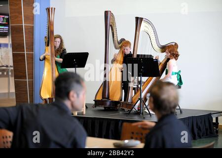 Harpony play for spectators at Epsom Downs Racecourse Stock Photo