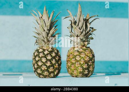 Closeup of two fresh pineapples standing on table against bright blue wooden background. Ripe delicious exotic fruits ananas with copy space for text. Stock Photo