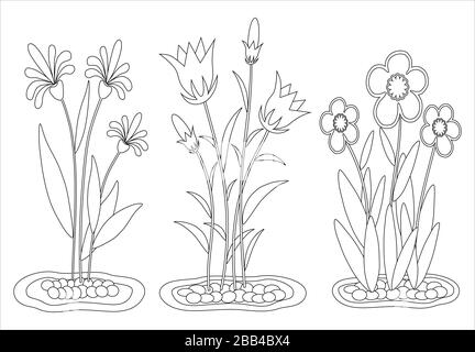 Flower coloring book in the garden for children Stock Vector