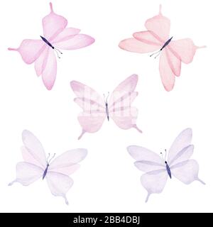 Watercolor pastel color butterflies, isolated on white background. Hand drawn cute illustration. Stock Photo