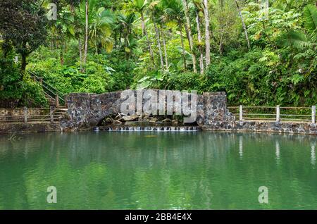 bridge spanning stream at edge of pool on bano de oro trail in el yunque rainforest of puerto rico Stock Photo