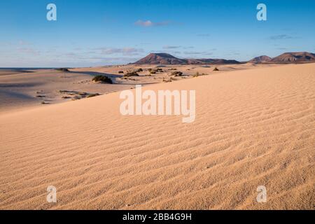 Parque Natural de Corralejo Sand Dunes Corralejo  La Oliva Fuerteventura  Canary Islands Spain Stock Photo